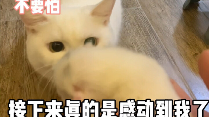 Sữa Đậu lần đầu làm mẹ, còn hơi lúng túng chưa biết phải làm thế nào.