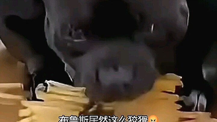 ตำแหน่งซีของบรูซสแตนด์ไม่ธรรมดาจริงๆ!