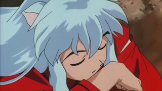 "Tại sao bạn, người thích sự dịu dàng, lại yêu InuYasha thô lỗ?"