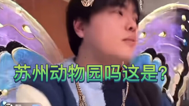 Suzhou Adventure