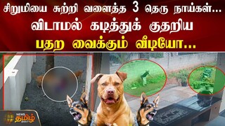 சிறுமியை சுற்றி வளைத்த 3 தெரு நாய்கள்...Kerala | Dog Bite | CCTV