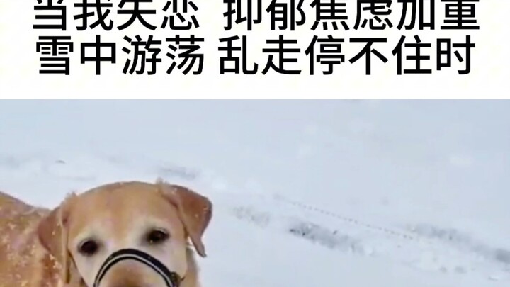 The weather is getting cold, but the love that protects you is heating up.