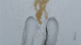 主打一个没素质