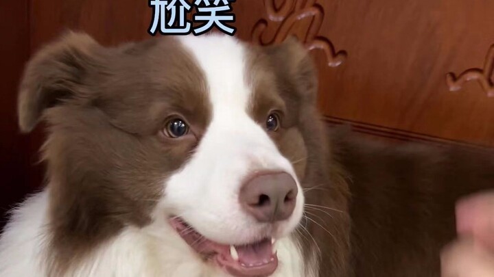 หยูจื่อ: เจอแบบนี้ใครก็ต้องรำคาญสิ