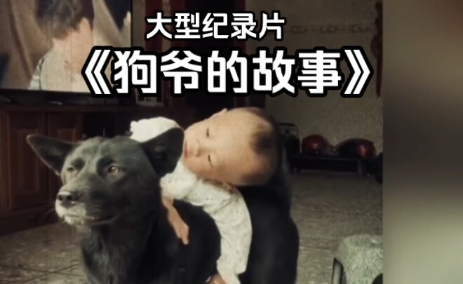 你救我一次，我护你一生