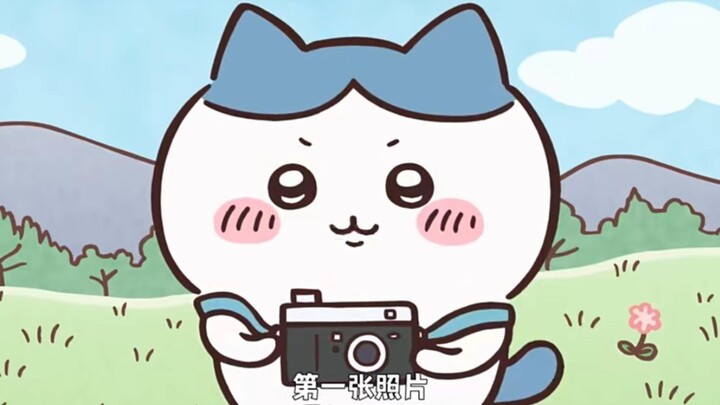 小八宝宝终于买到相机啦