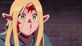 Dungeon Meshi Eps 13 (Sub Indo)