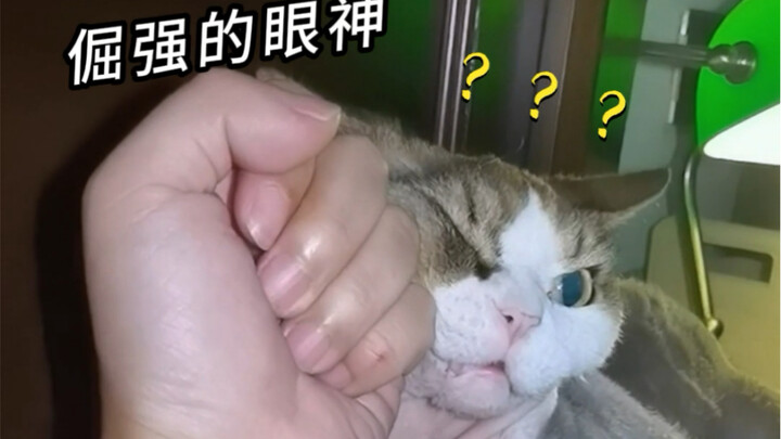 “Không phục” đã hiện rõ trên mặt rồi, mà còn “hỏi nữa”?