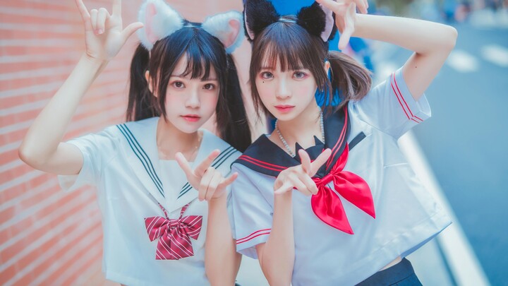 The twin sisters like the new school uniform very much, crazy selfies and cos cats