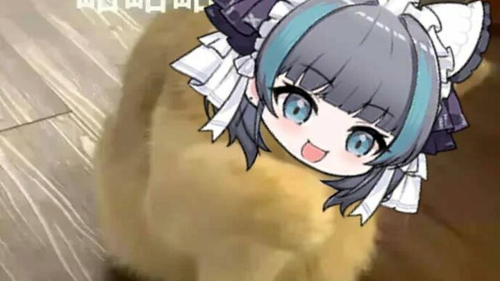 The Cheshire Cat wishes everyone a happy Children’s Day and hopes you all get to own your very own l