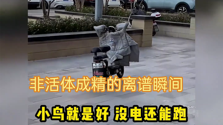 A Roundup of Absurd Moments When Non-Living Objects Come to Life