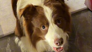 Yuzai: Dasar mulut keras, cepat minum nih!