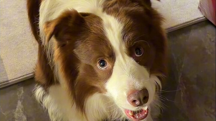 Yuzai: You stubborn mule, hurry up and drink!