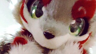 เมื่อเจ้าตัวนี้นั่งบนพุงของคุณ :)