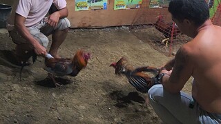 sipag lang
