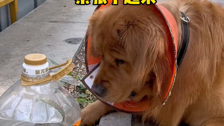 لذلك، هل سبق لكم أن رأيتم شيئًا أكثر جنونًا منه؟