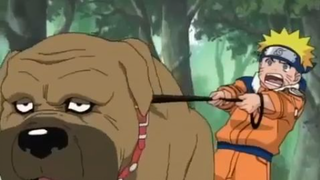 Naruto Phần 1- Tập 19 (Lồng tiếng HTV3)