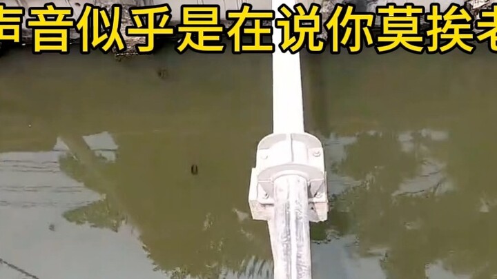 [Wan Yin TG] Video đang tải, các bạn xem nhanh để biết điều bất ngờ nhé!