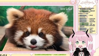 日本妖精看《动物迷惑行为大赏151》
