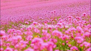 พ่อของผมเป็น