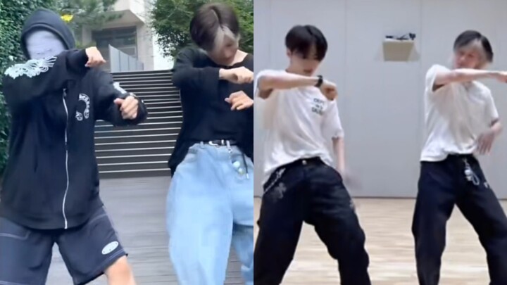 我说韩国有你们这两只老虎是他们的福气 EXO边伯贤 SEVENTEEN权顺荣  SHINee 'HARD' Challenge with 泰民