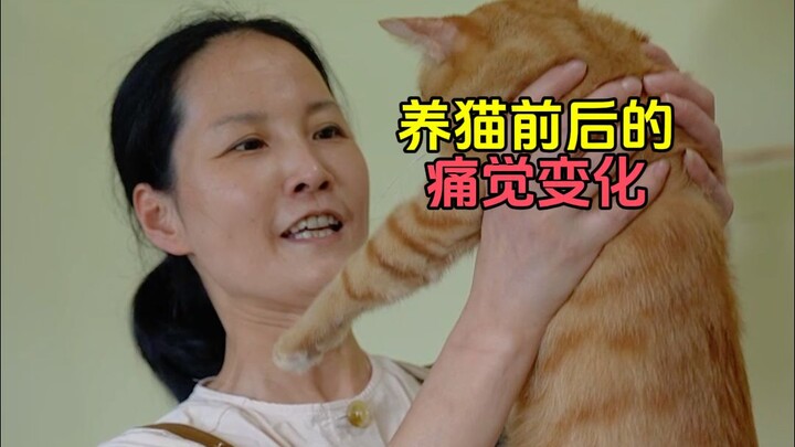 Setelah Pelihara Kucing, Tiba-Tiba Jadi Tak Takut Sakit