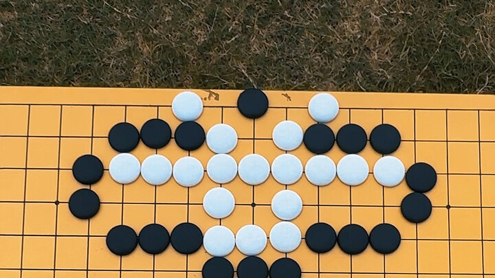 The wisest decisions often come in foolish disguises.