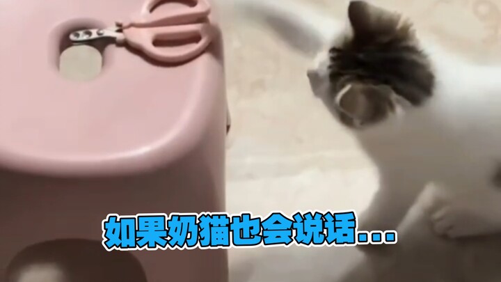ก็คุณนั่นแหละที่ตัดเล็บให้ฉันใช่มั้ย!!