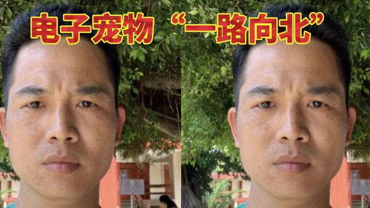 电子宠物“一路向北”