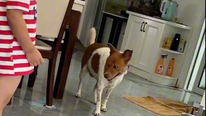 โดนให้ยืนทำโทษนิดหน่อย หมาข้างๆ ทำฉันแทบหัวเราะตายเลย