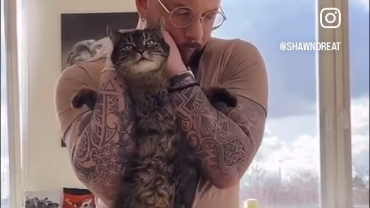 Seri Pemulihan Tulang Super Panjang Part 2: Kucing, Anjing, Singa, Kuda, Ular (dan Sedikit Manusia)