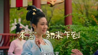 笑飞了，记住你有个品牌叫本宫了，本宫初来乍到，本宫初来乍到，这波洗脑，带货有效