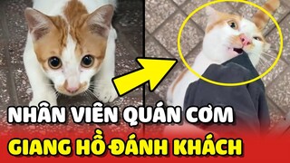 Chấn động chú Mèo phục vụ quán cơm có hành vi ĐÁNH KHÁCH HÀNG 😂 | Yêu Lu