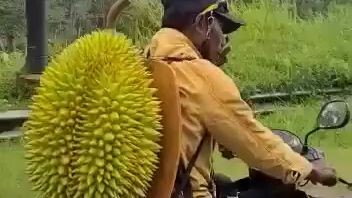 Durian jumbo