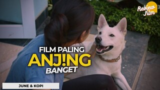Review JUNE & KOPI - 100% Gemesin !!! Film Anjing Pertama di Indonesia!! (2021)