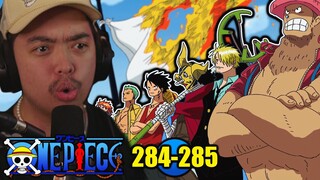LUFFY DECLARES WAR ON THE GOVERNMENT