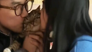 直接在长辈面前拉了一坨大的