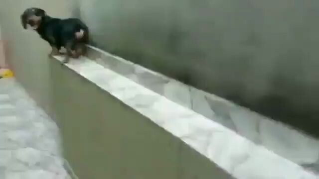 The car body is too long and difficult to turn around
