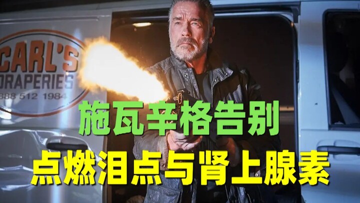 【Liu Pi】Schwarzenegger says goodbye, sparking tears and adrenaline—“Terminator: Dark Fate” awaits yo