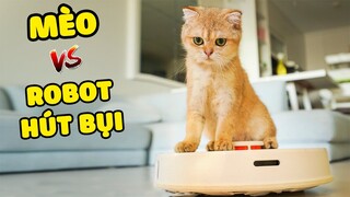 ROBOT hút bụi không thể làm việc với những chú mèo này! | The Happy Pets #55