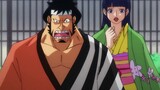 One Piece 1083rd episode of the animation "A World in Turmoil! The New Organization Cross Guild!" pr