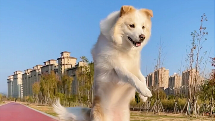 Kebiasaan buruk Bella yang nggak rajin minum air terbentuk perlahan-lahan seperti ini.