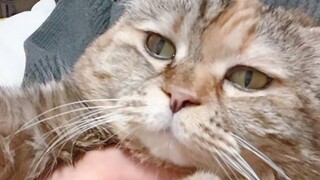 How much longer do I have to hold you before we can eat?