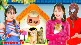 Cuộc Thi Làm Nhà Cho Thú Cưng | Tổng Hợp Video Tình Cảm Gia Đình | Bon Bon TV
