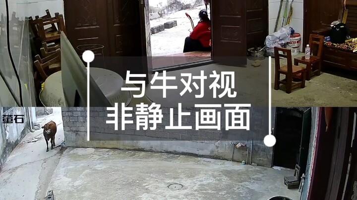 Lovers TV: Motherly Love Is Great