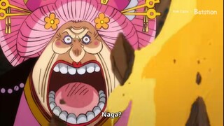 MOMEN YONKOU BIG MOM SAMPAI PANIK LIHAT NAGA LAIN BERSAMA LUFFY