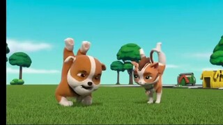Paw patrol Musim 8 Episode 25 dan Episode 26 Bahasa Indonesia