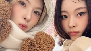 Mari bersinar lebih terang bersama˚₊‧꒰ა 🐥ෆ🐱໒꒱ ‧₊˚