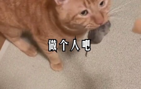 "Hãy làm một người đi"