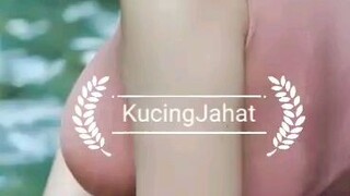 Berenang yuk?